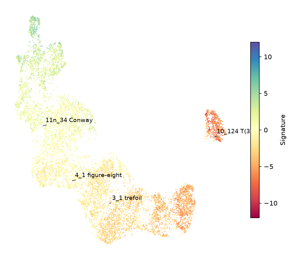 Every catalogued knot's embedding flattened with UMAP, coloured by signature