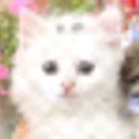 Xay's picture